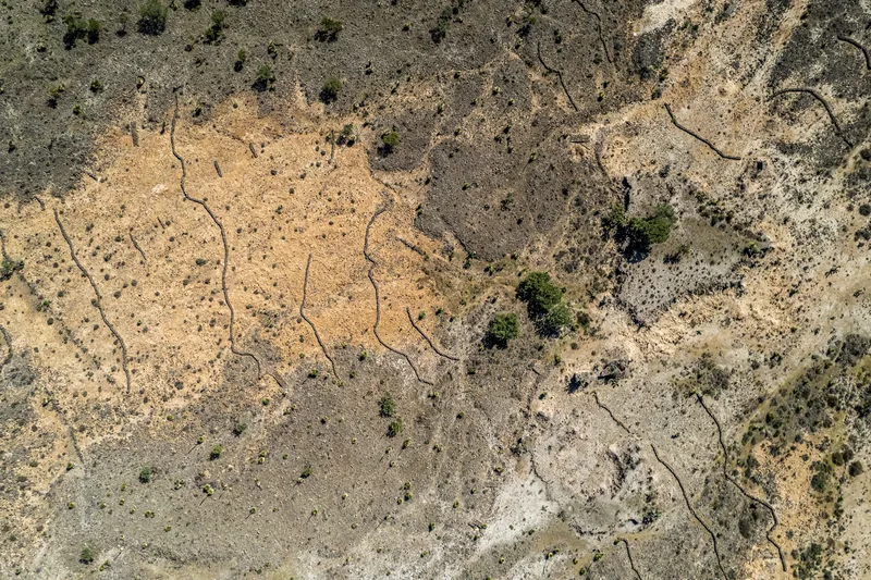 Entre retos y oportunidades, hablemos de financiamiento climático