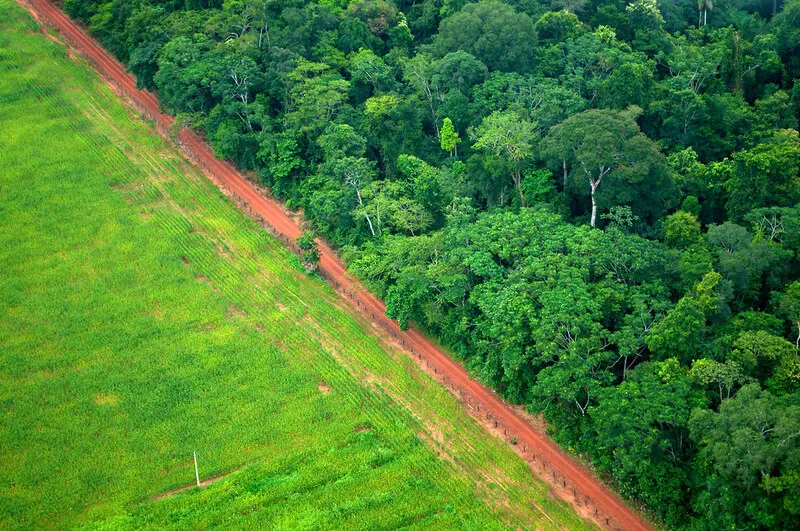 Anthropocene: what to do when we already know that we are the problem?