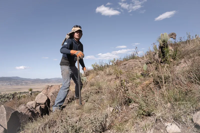 ¿Intervenir o no intervenir? Alternativas que nos enseña la restauración ecológica para aliarnos con la naturaleza