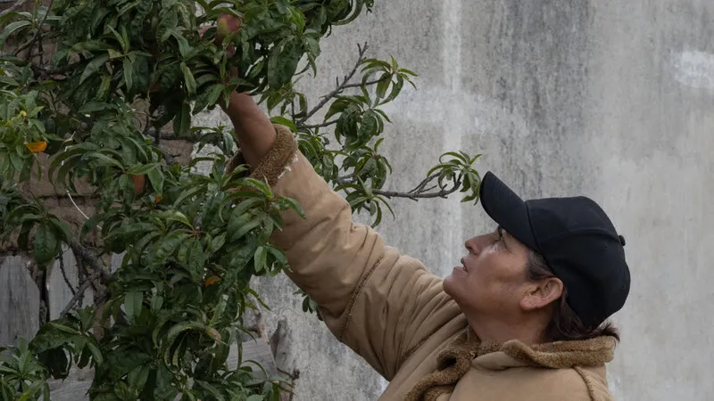 ¿Cómo afecta el cambio climático a la soberanía alimentaria de las comunidades? Pláticas y perspectivas con Doña Gloria Ramírez