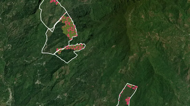 Guía práctica para navegar el Metaregistro