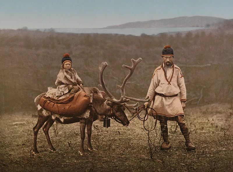 Santa Claus and Amanita muscaria: A Natural Story