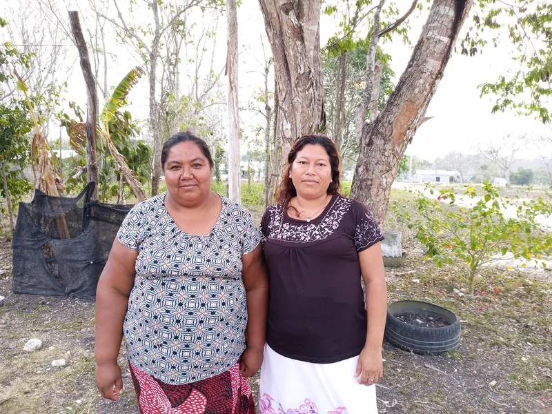 Women from Ejido Centauro del Norte and a culinary project that takes advantage of Ramón's seed