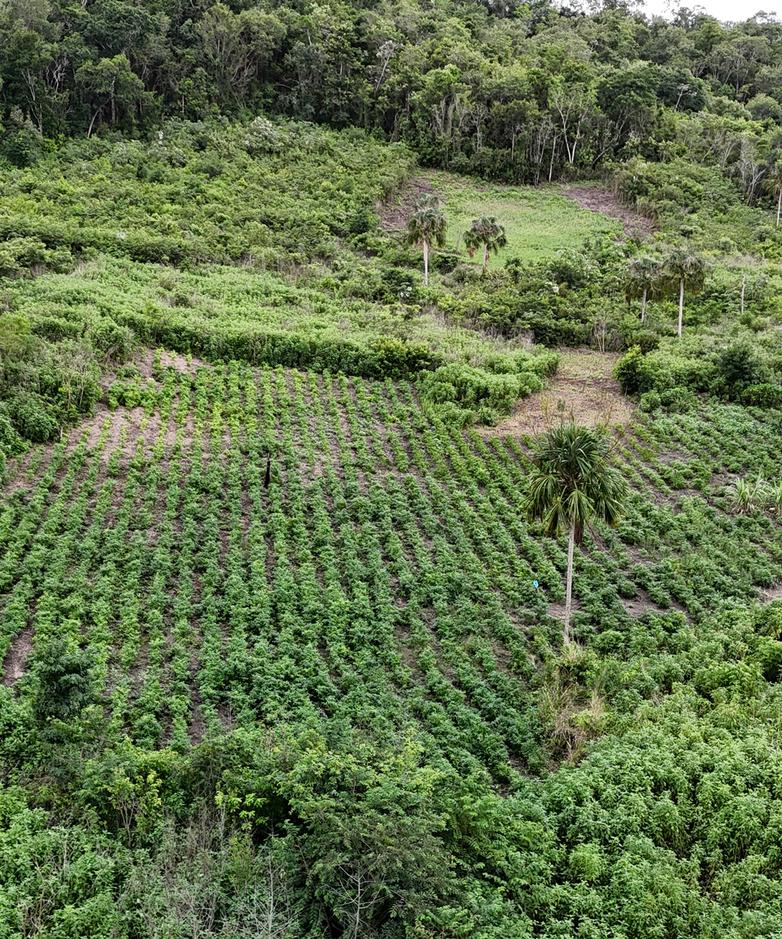 Community-Owned Land