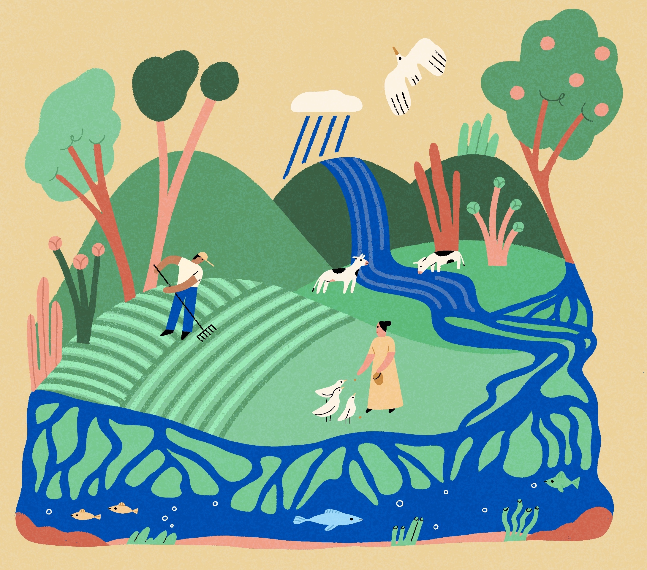 Manual ilustrado para entender una cuenca hidrológica