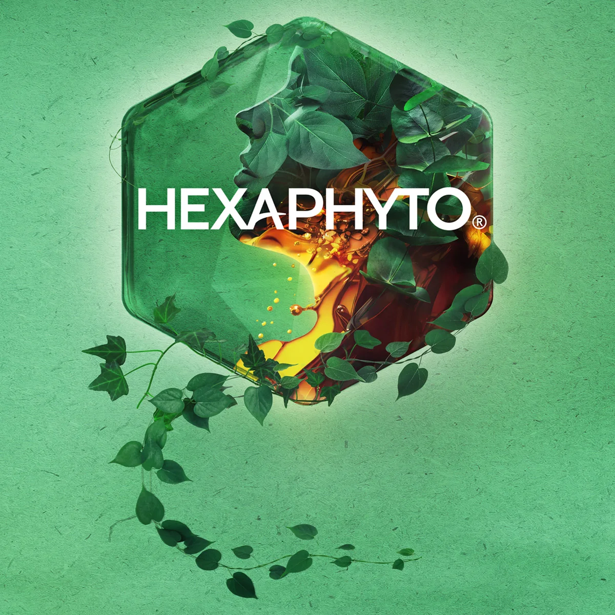 Hexaphyto1-register