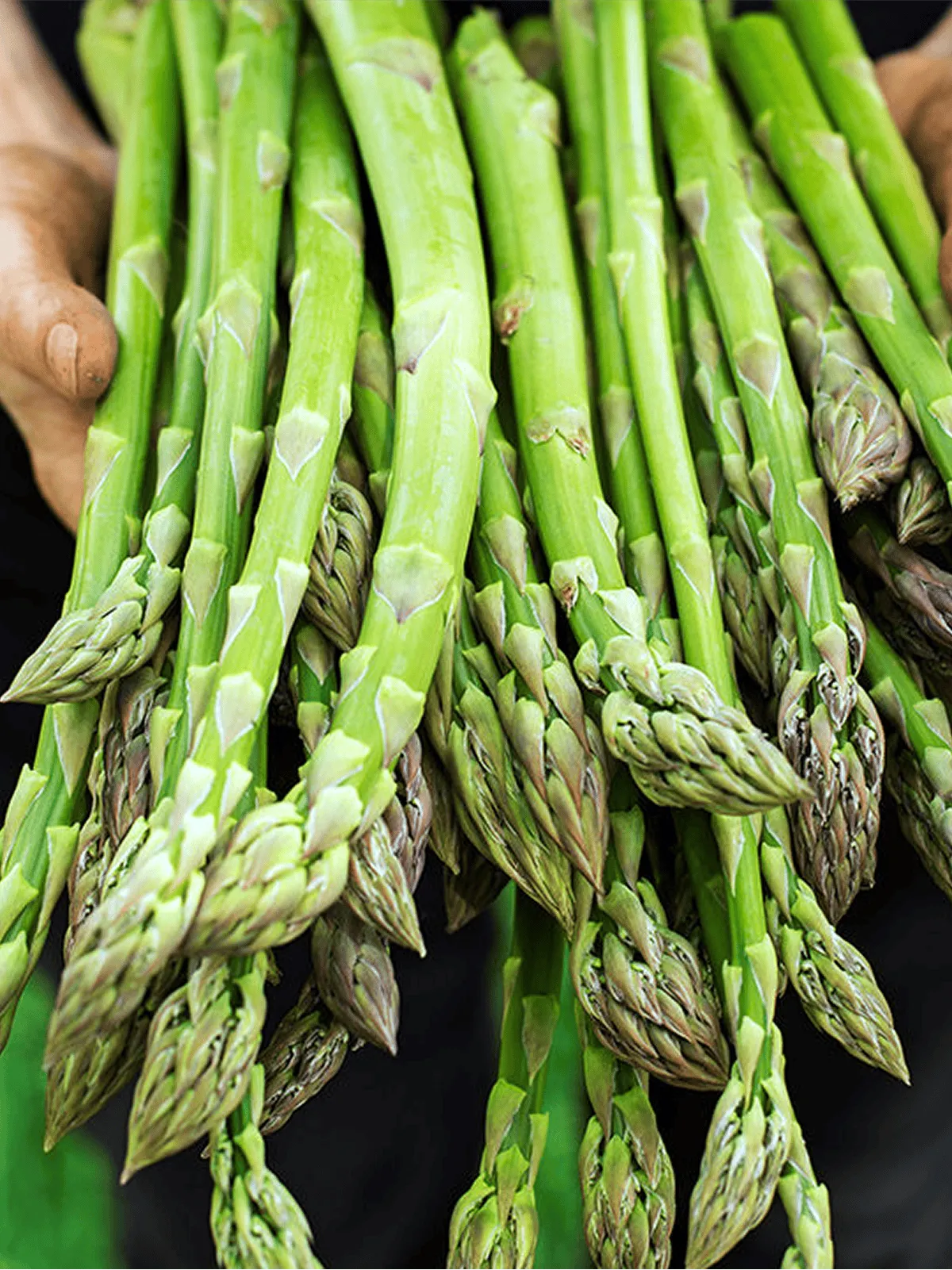 des asperges vertes