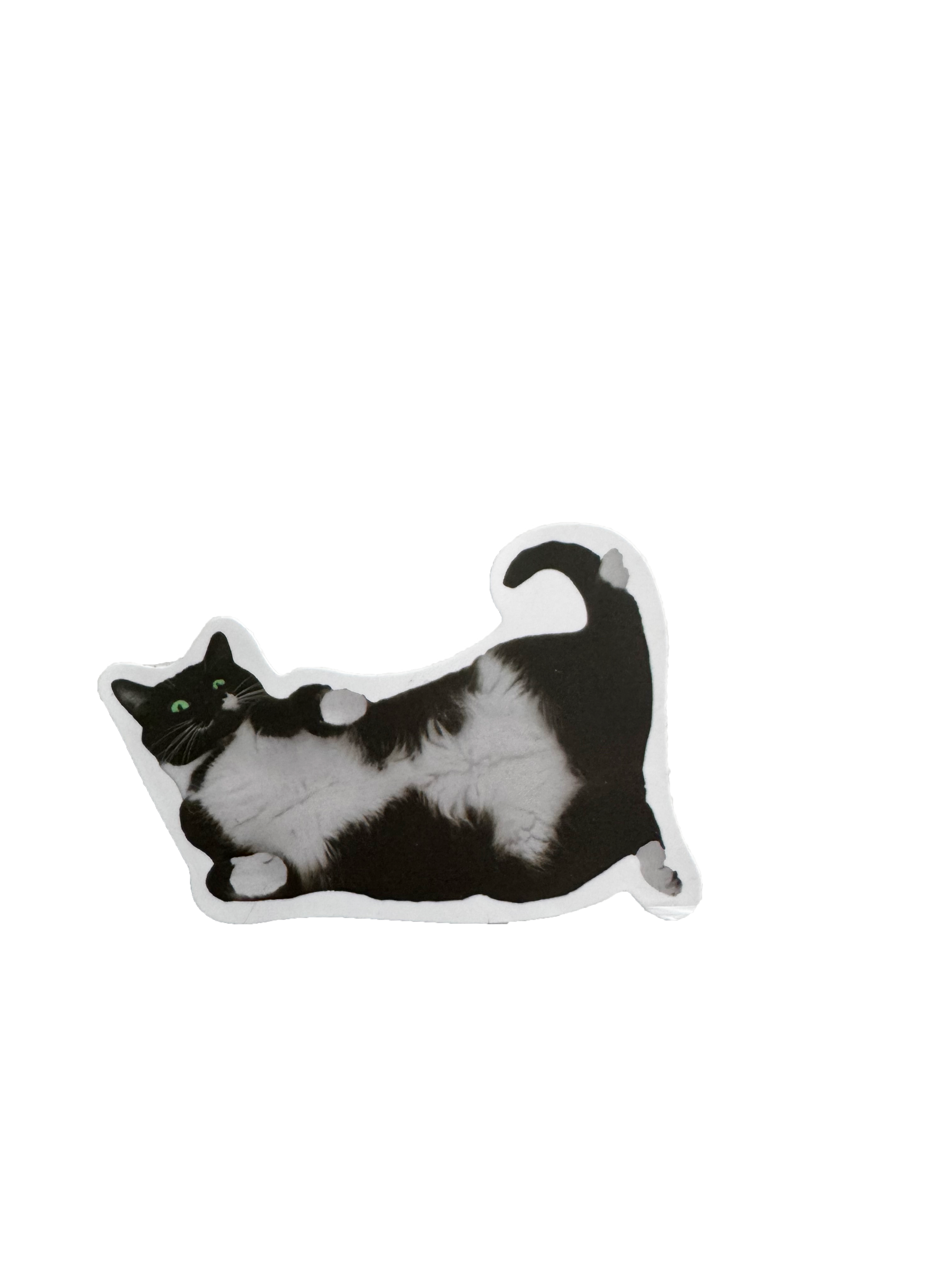 Cat sticker