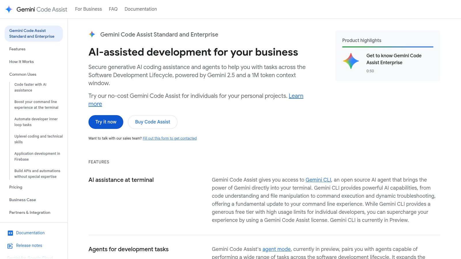 Google Gemini Code Assist