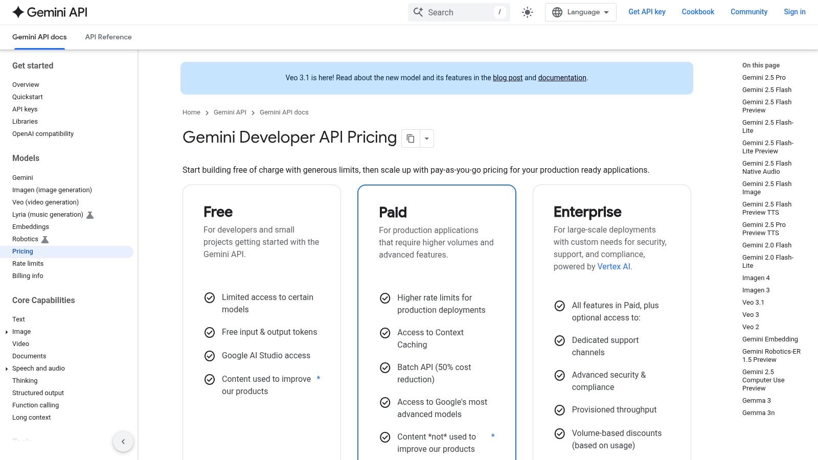 Google AI Studio (Gemini)