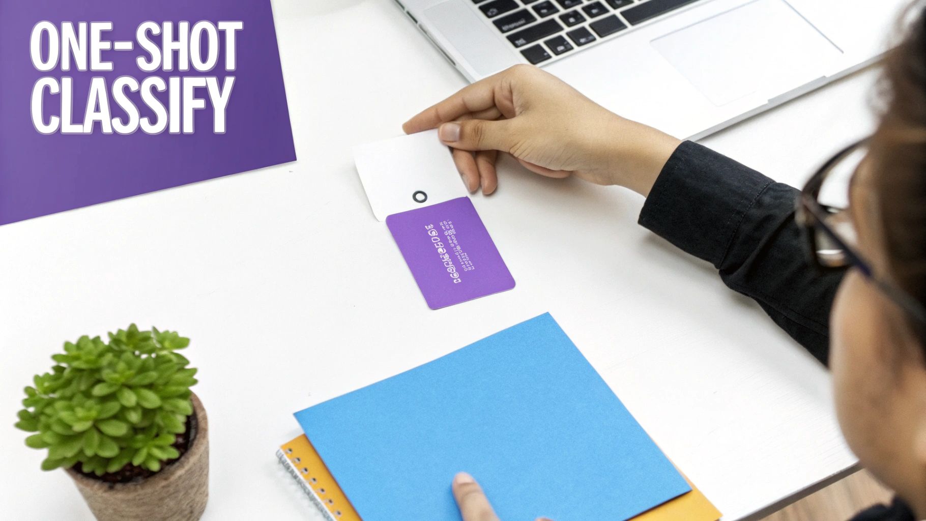 Classification/Categorization Prompt