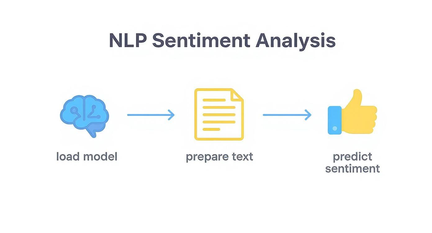 Infographic about python coding ai