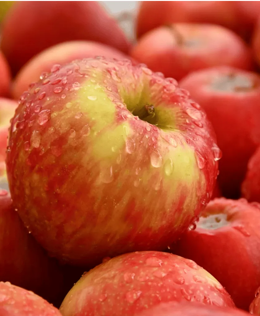 fruits de saison d'origine France du partenaire Refruiting