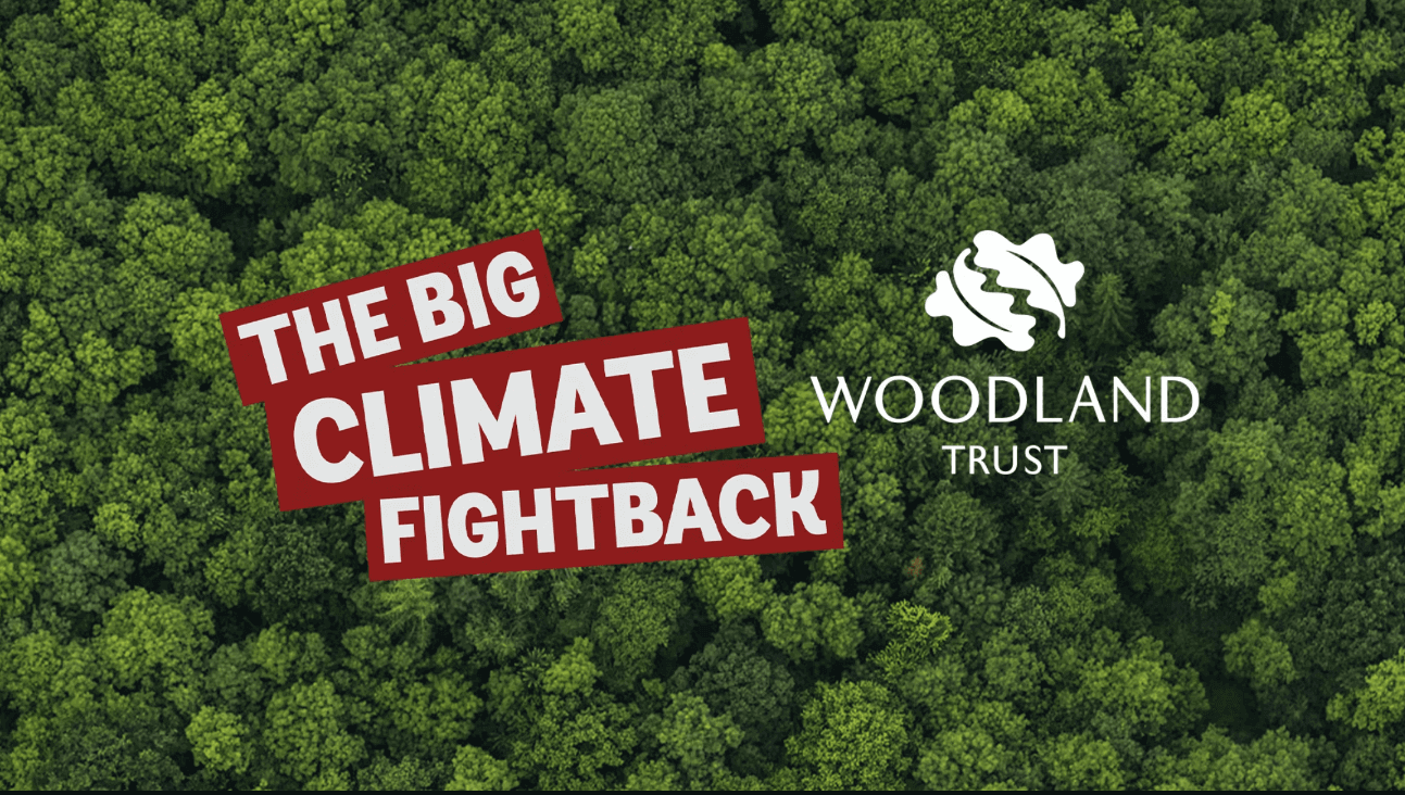 Creative Marketing Campaigns - 2023 - Woodland Trust – Plant More Trees