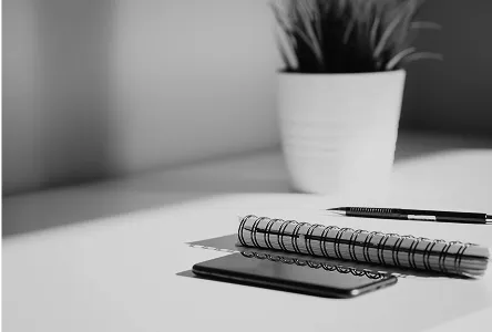 License Single Image