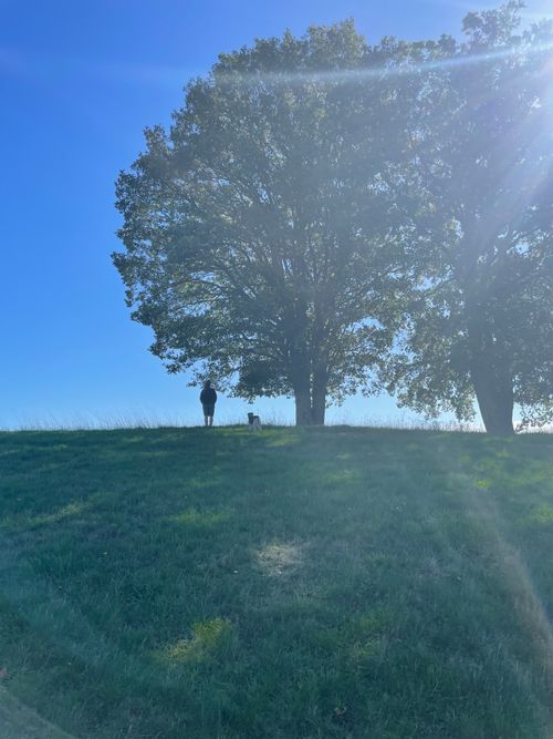 Lajla Coconcelli mit Hund unter Baum Holzarbeiten Kaiserslautern