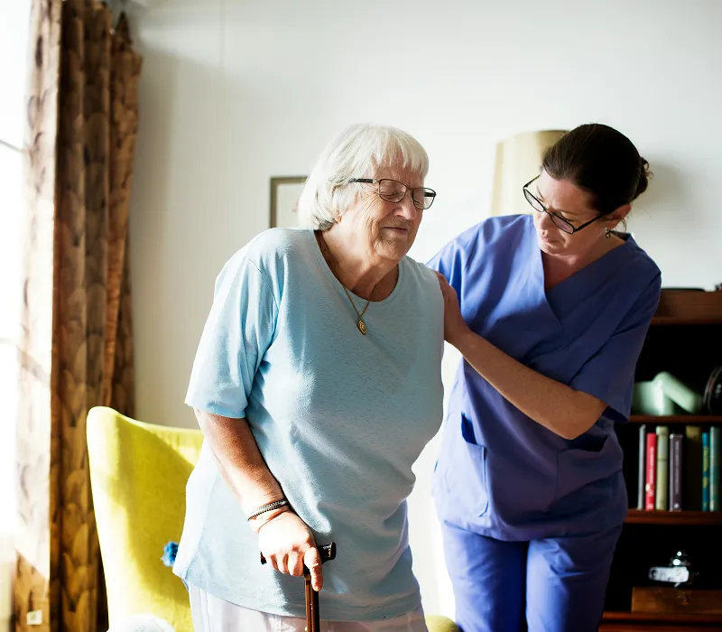 Care Support Businesses
