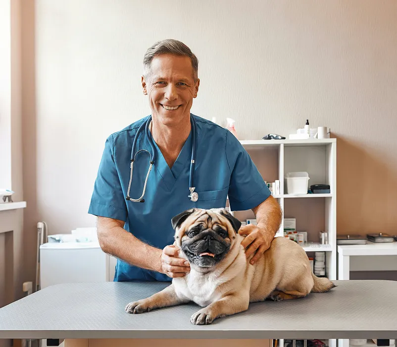 Pet Care Businesses