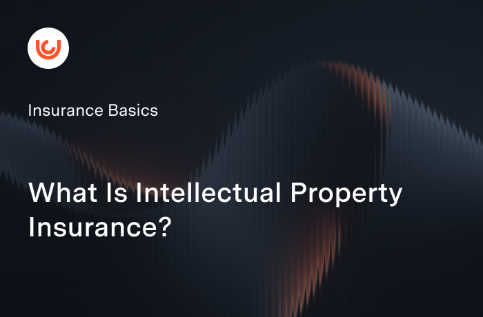 What Is Intellectual Property Insurance?
