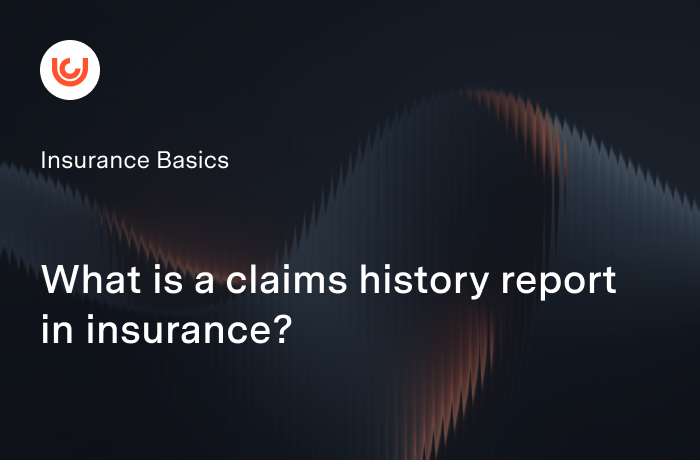 What is a claims history report in insurance?