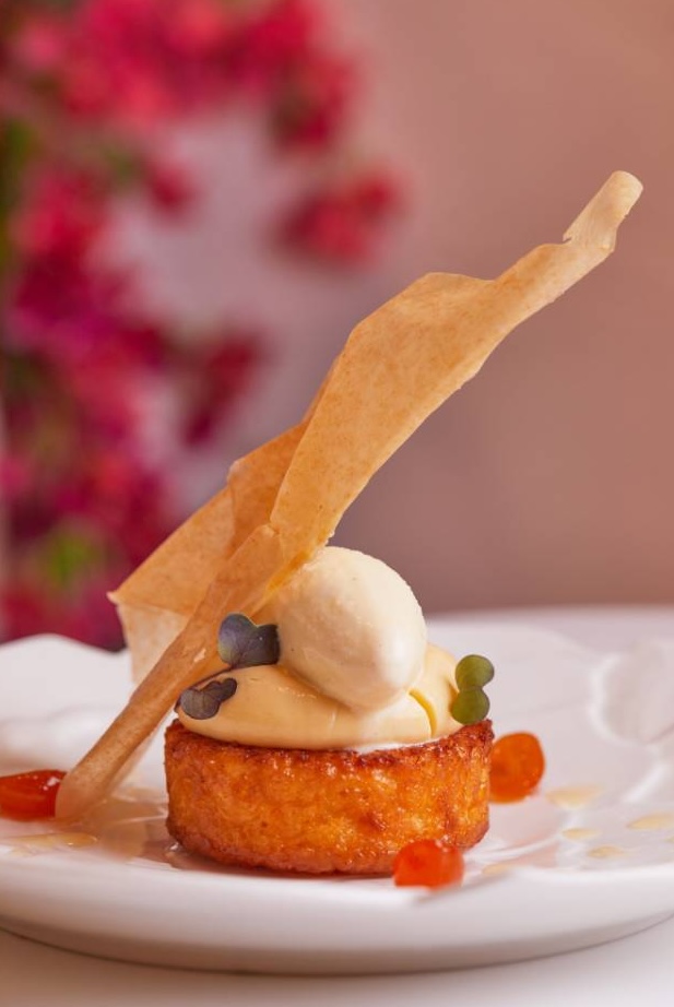 Elegant plated dessert with caramelized tuile, cream, cake and fruit garnish