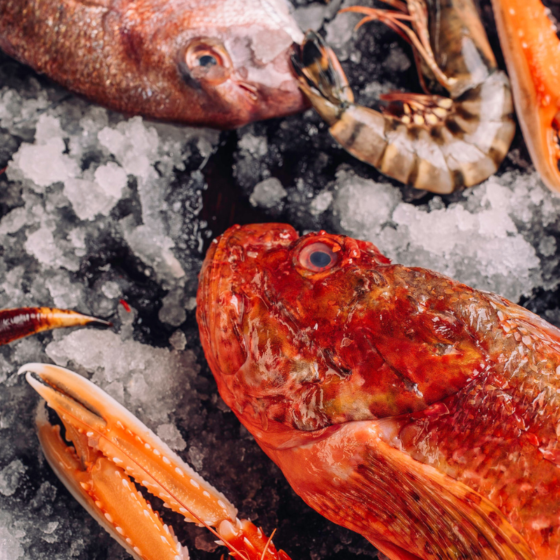 Fresh red fish and seafood displayed on ice with crab claws visible
