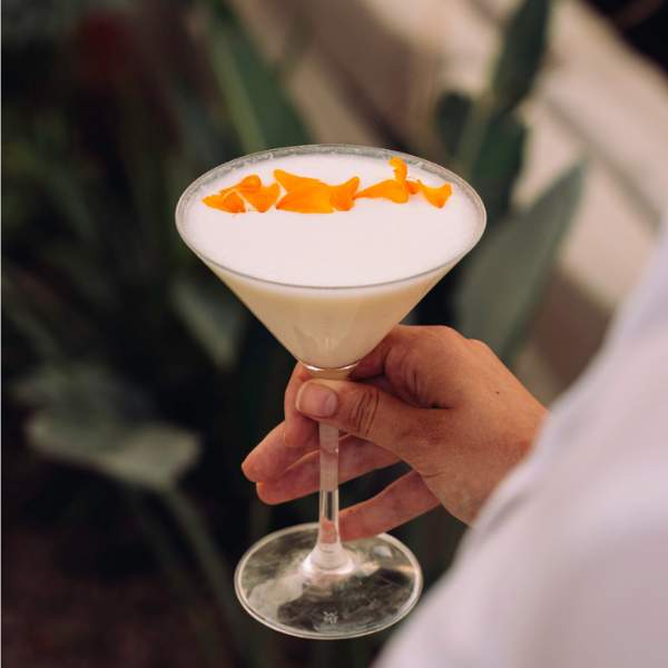 Cocktail Menu