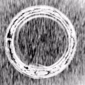 IR-Emissivitätsbild (Oberflächeninformation)