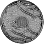 crack-detection-1