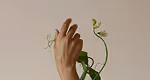 illustration of a hand with plant veins symbolizing the human element in design