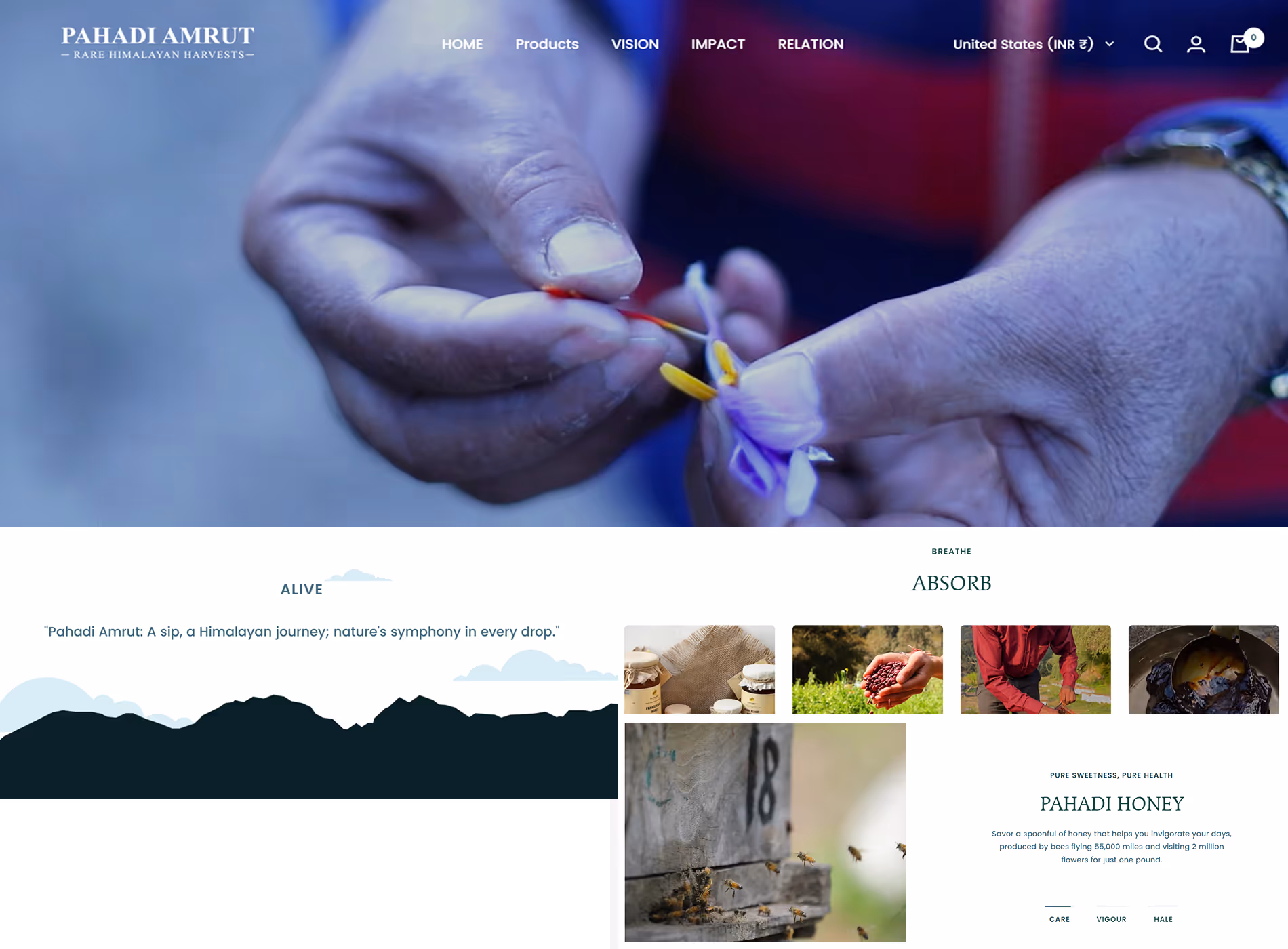 Pahadi Amrut website showcase — homepage, product pages, and mobile design for Himalayan honey brand