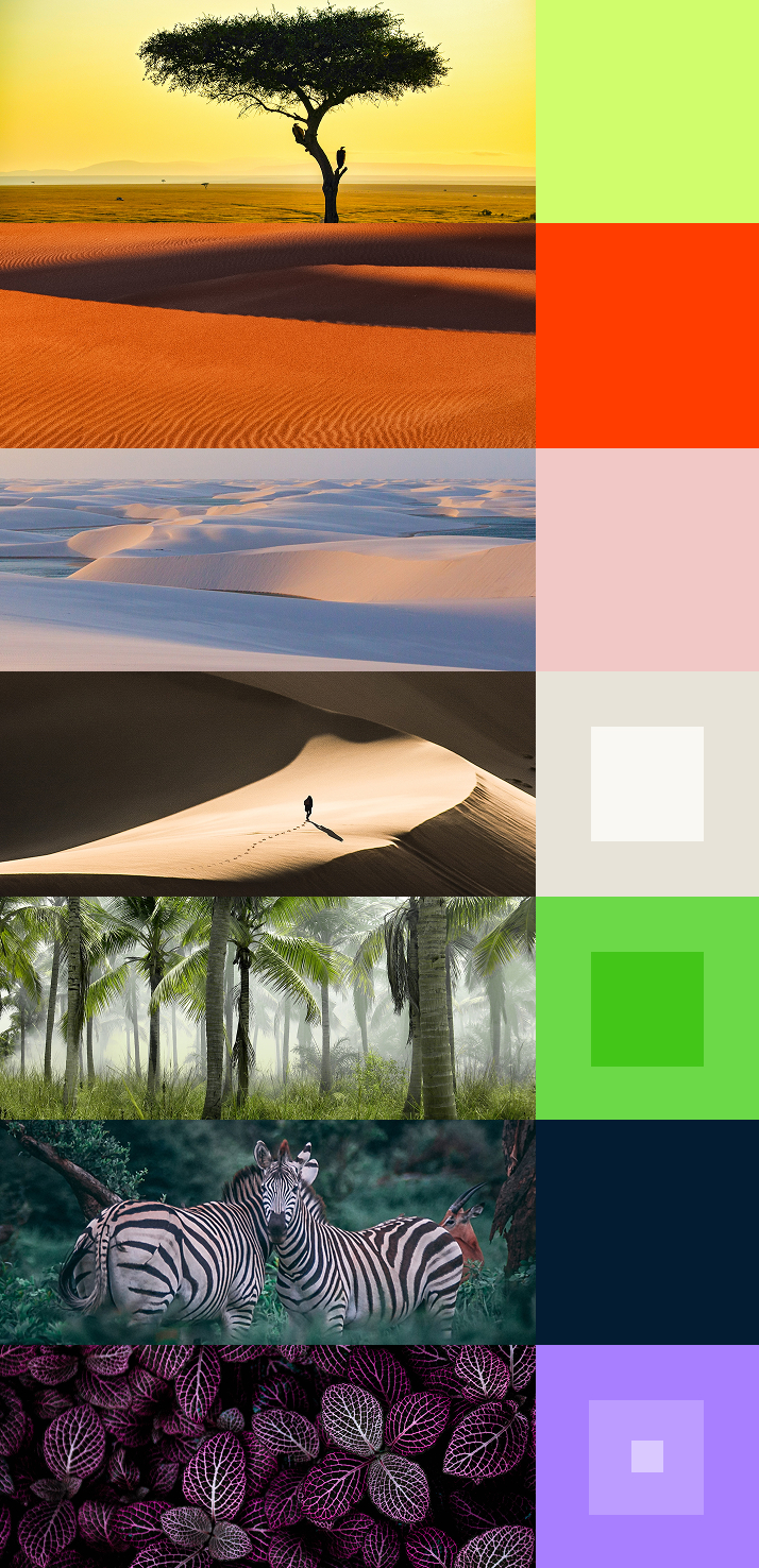 Die Farbpalette von Bridging Gaps ist von Landschaften und der Natur Ugandas und Brasiliens inspiriert und bietet lebendige Grüntöne, warme Orangen, sandige Neutraltöne, tiefes Blau und Violett. Die Farbpalette vereint Professionalität mit Unverwechselbarkeit, um eine einprägsame Markenidentität zu schaffen.