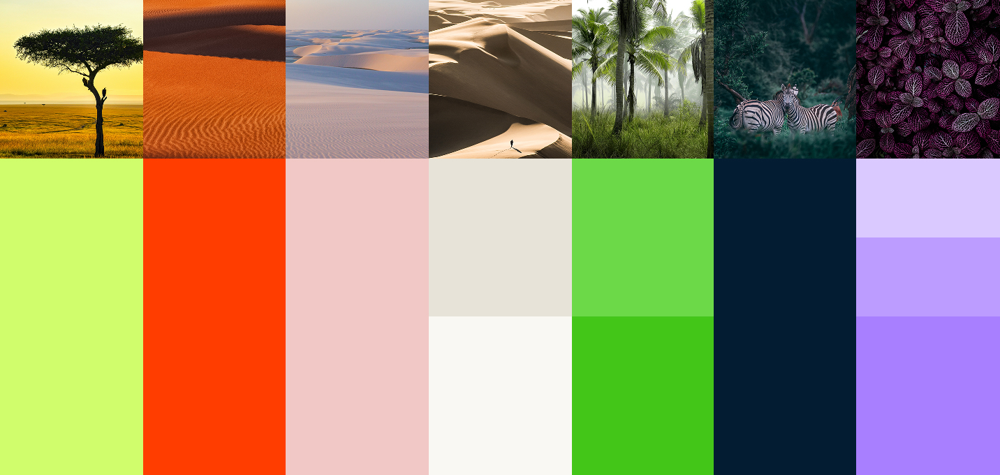 Die Farbpalette von Bridging Gaps ist von Landschaften und der Natur Ugandas und Brasiliens inspiriert und bietet lebendige Grüntöne, warme Orangen, sandige Neutraltöne, tiefes Blau und Violett. Die Farbpalette vereint Professionalität mit Unverwechselbarkeit, um eine einprägsame Markenidentität zu schaffen.