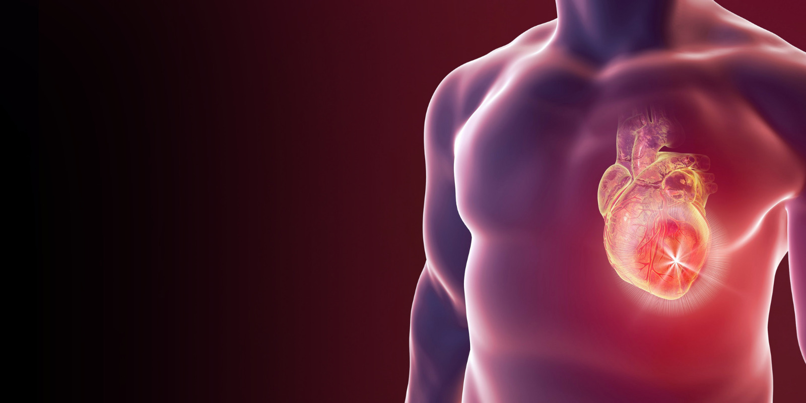 Advanced Cardiovascular Life Support (ACLS) Recertification Training