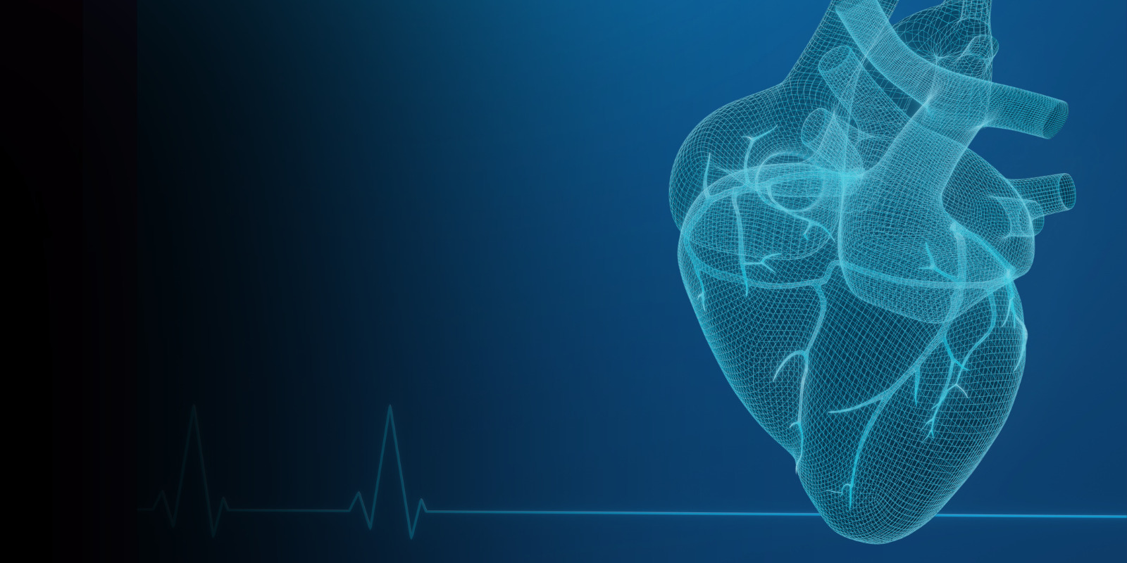 Basic Life Support (BLS) Recertification Training