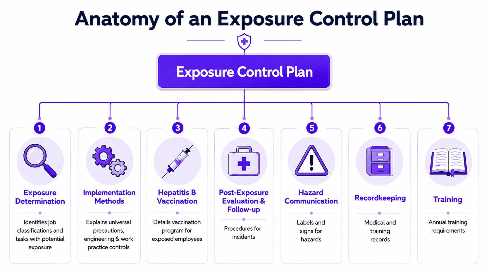 A flowchart infographic outlining the seven key components required for an effective workplace exposure control plan.