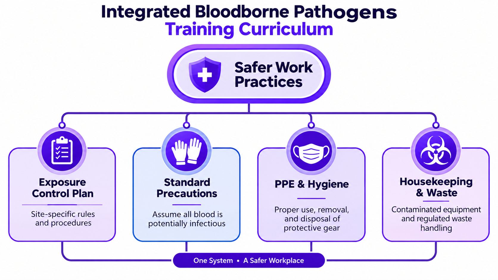 A diagram outlining an integrated bloodborne pathogens training curriculum with four key components for a safer workplace.