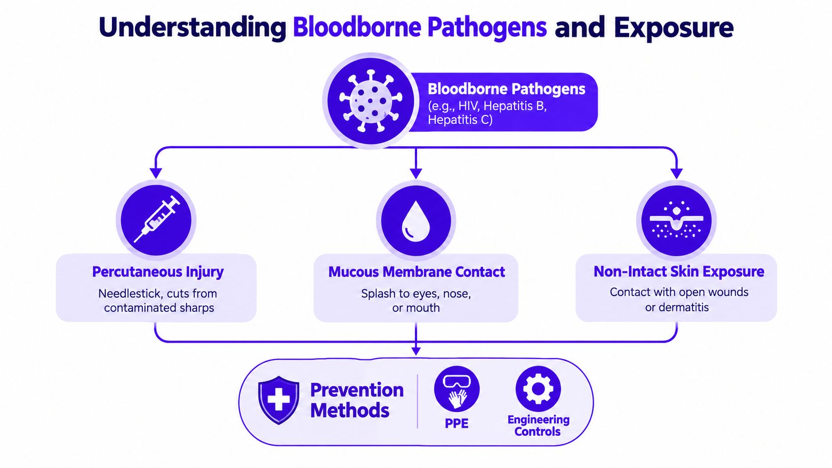 An educational infographic illustrating the types of bloodborne pathogen exposure and corresponding prevention methods like PPE and controls.