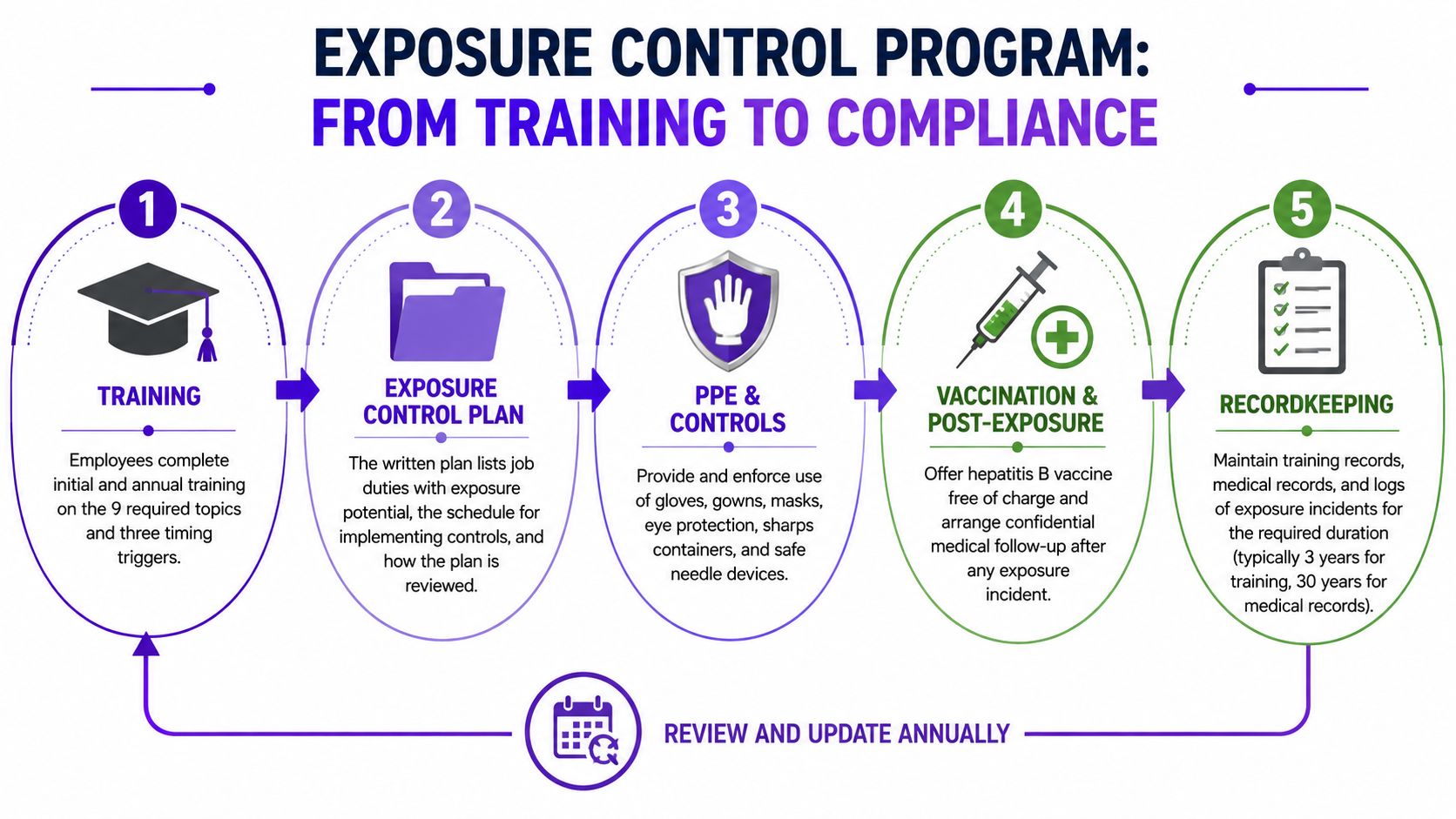 A flowchart showing five key steps for an OSHA bloodborne pathogens exposure control program for employees.