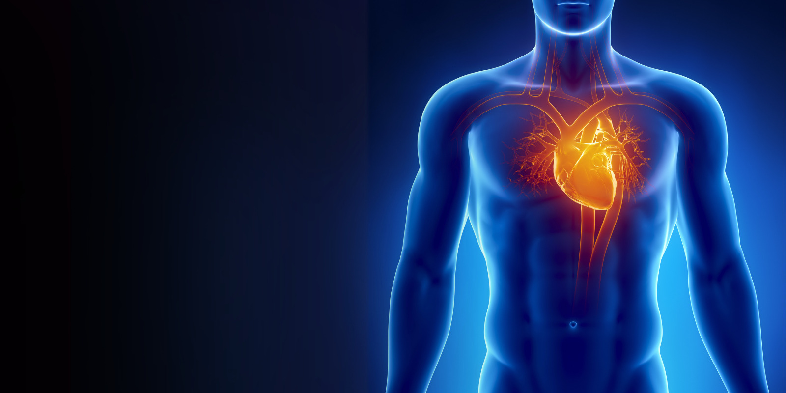 Cardiopulmonary Resuscitation (CPR) Certification Training
