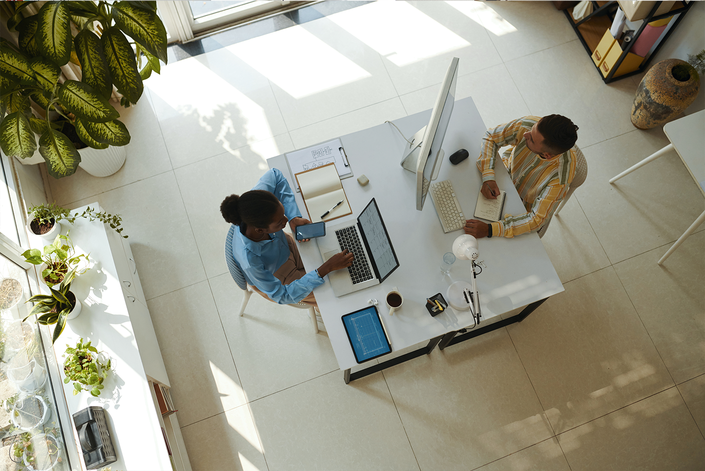 Brand Audit to Alignment: A Strategic Diagnostic 