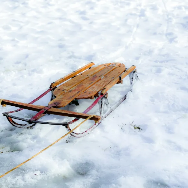 4-season tobogganing on rails in Combloux, a fun mountain activity close to the hotel.