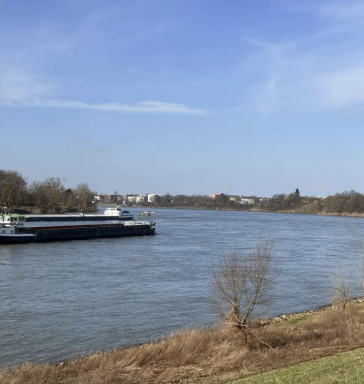 Rhein, nahe Umgebung