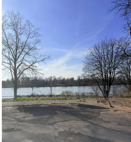 Rheinwiesen und Rhein