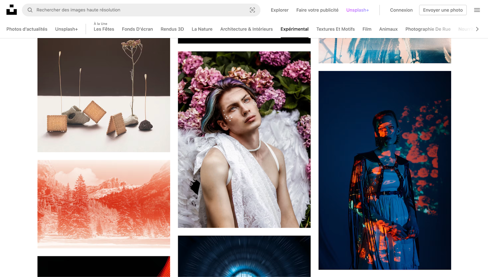 Capture d'écran de Unsplash pour l'article de HeySimon : Top 5 des meilleures sources pour trouver des images et photographies libres de droits pour insérer dans un support de communication.