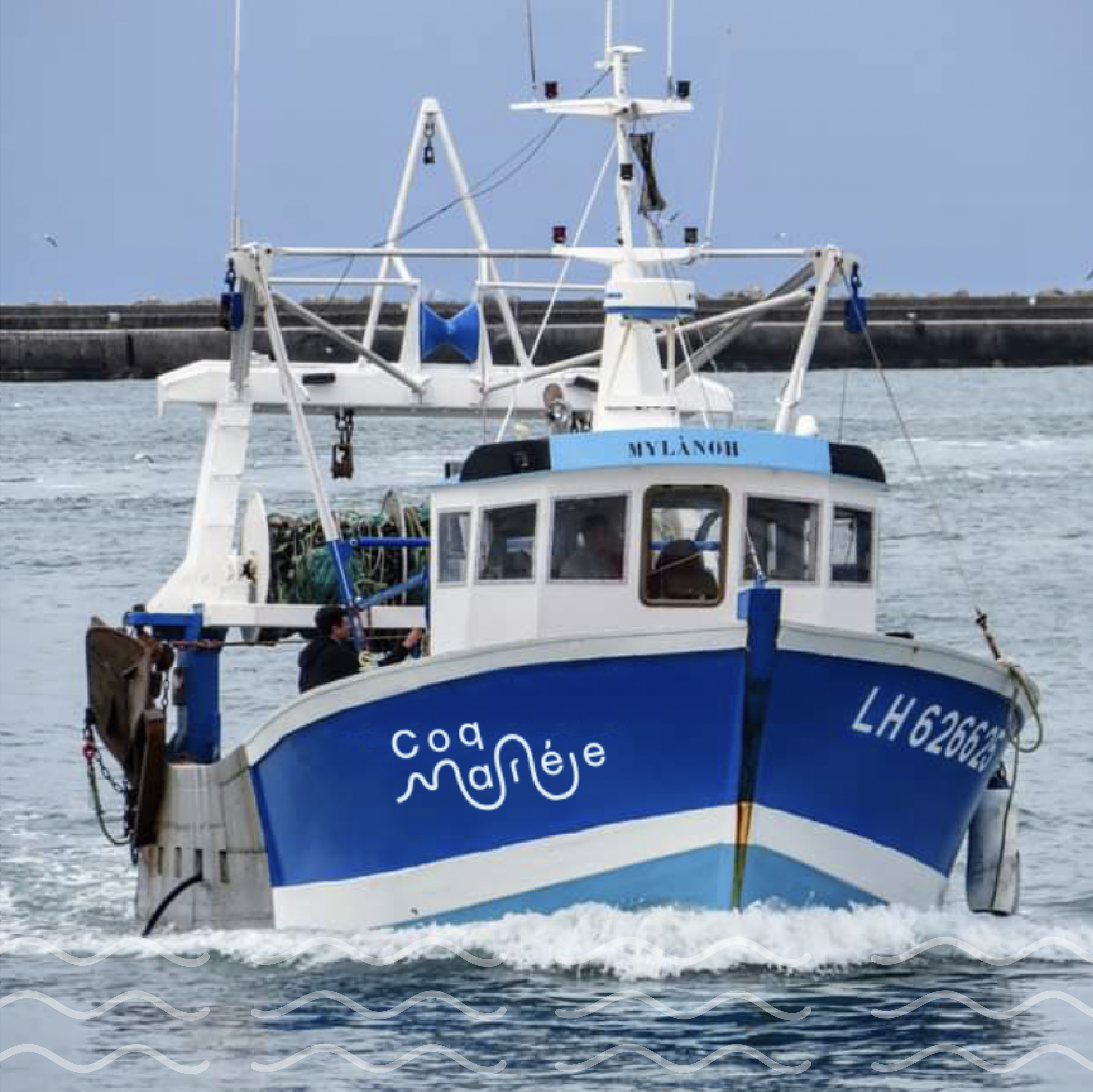 Application de la marque et du branding de Coq Marée sur un des bateaux de la marque. Exemple d'application de la Charte Graphique d'une marque réalisée par Simon, le partenaire créatif tout-en-un par abonnement mensuel à prix fixe de graphisme en illimité