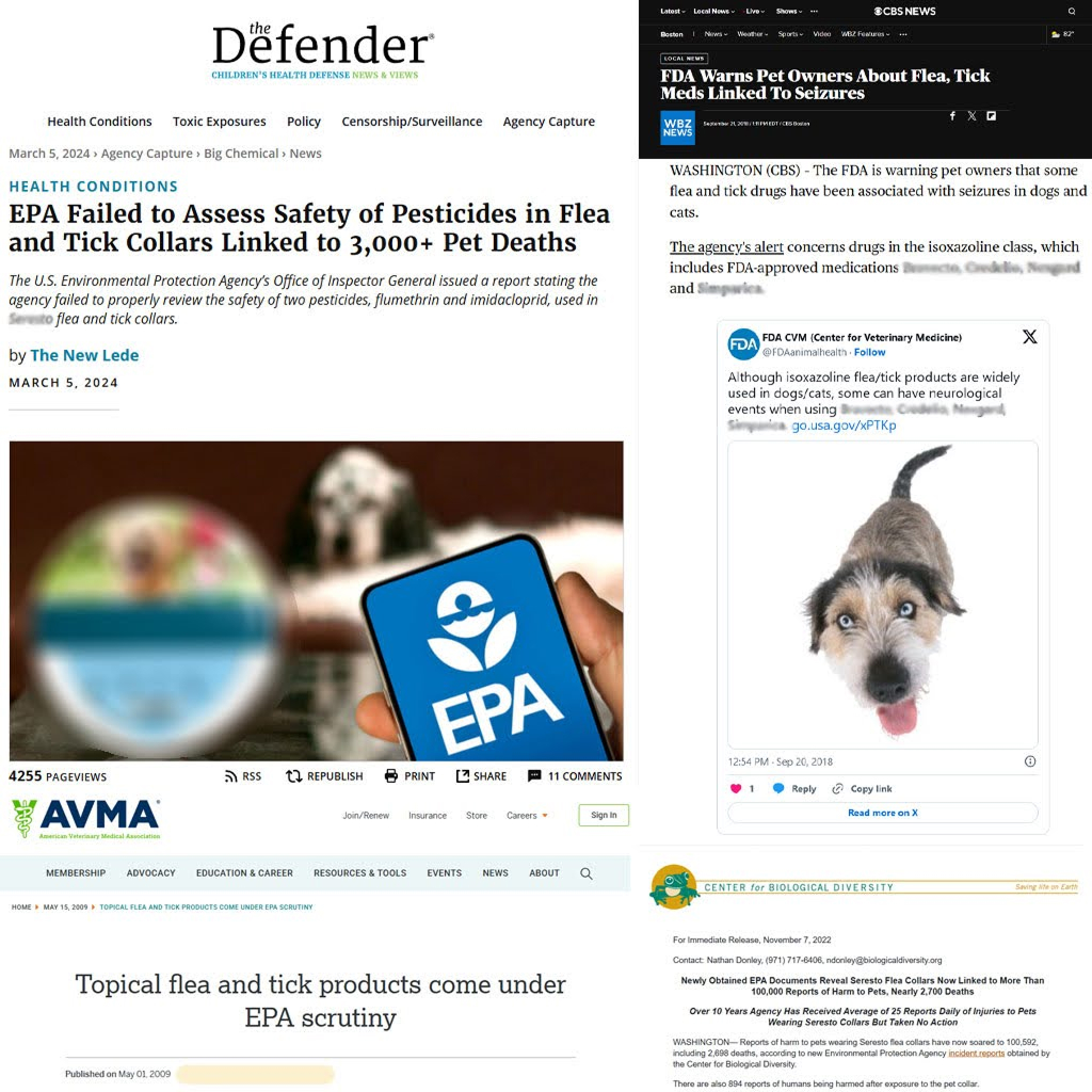 4-flea-body-image-v2