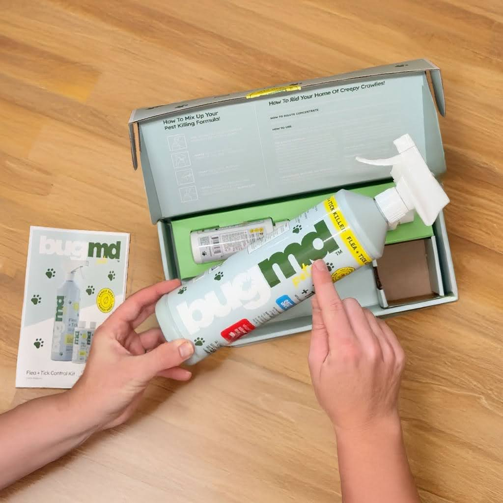 15-flea-body-image-v2