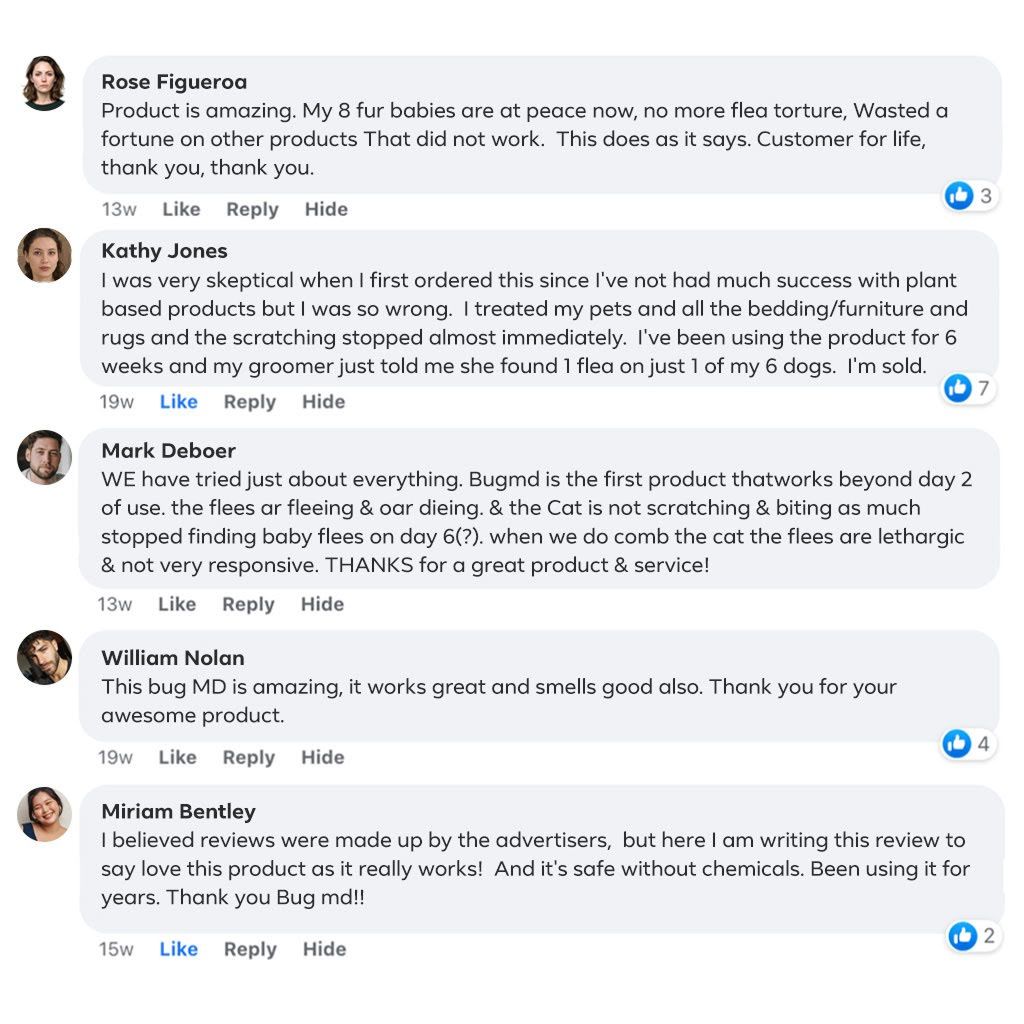 17-flea-body-image-v2