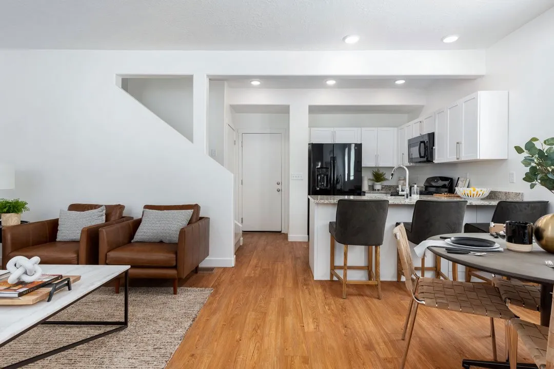Living Kitchen Area